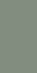 Pea Green(Deep)